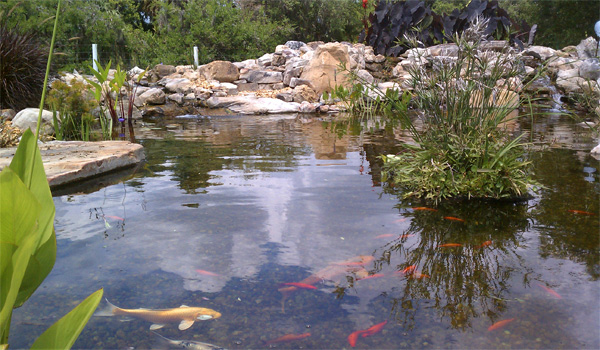 pondless waterfall contractors